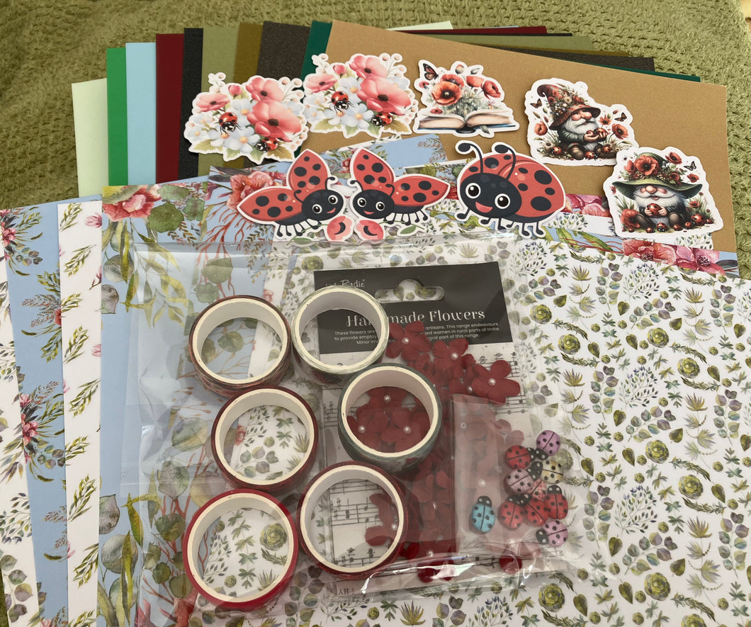 Ladybird kit