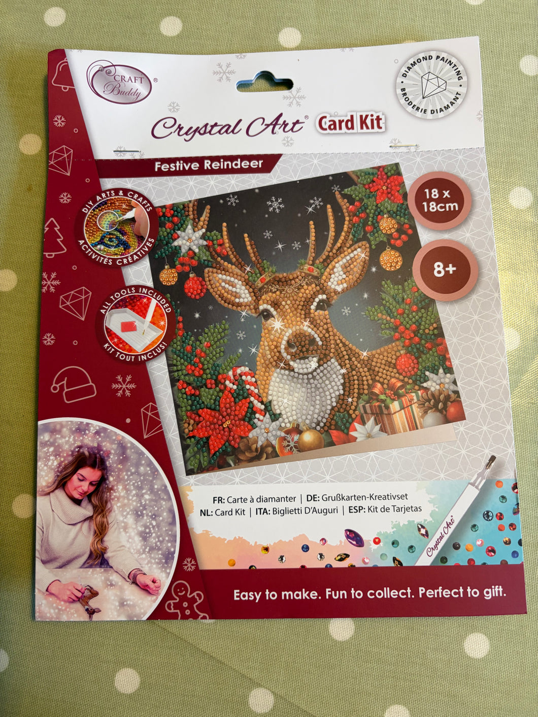 Festive Reindeer card kit