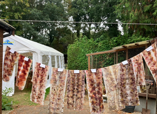 Botanical Printing - Friday 29th May 10am-3pm