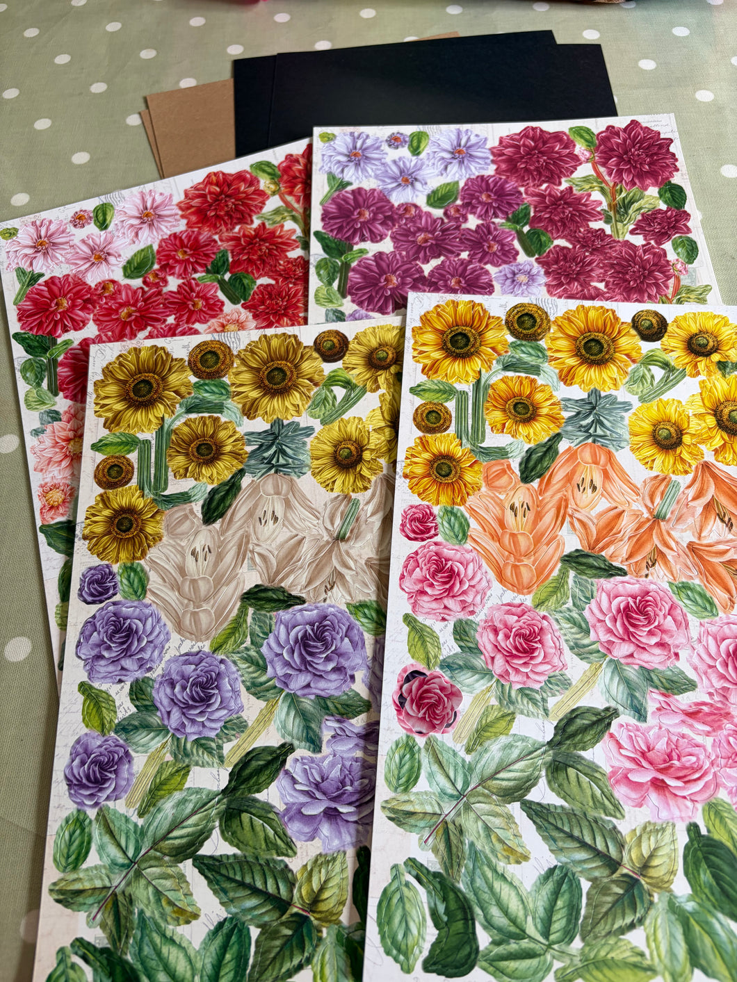 Botanical kit