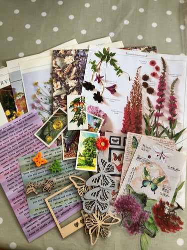 Flora & Fauna ephemera kit
