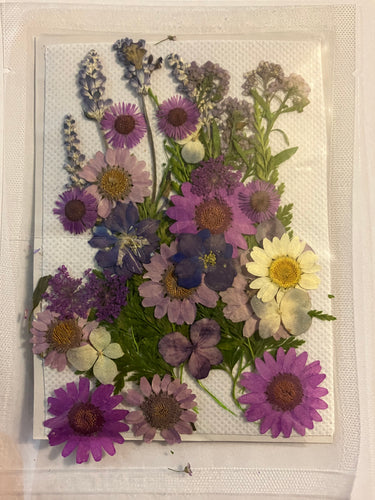Purple dried pressed flowers