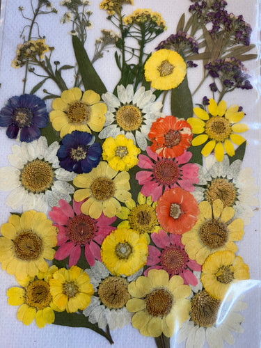 Yellow dried pressed flowers