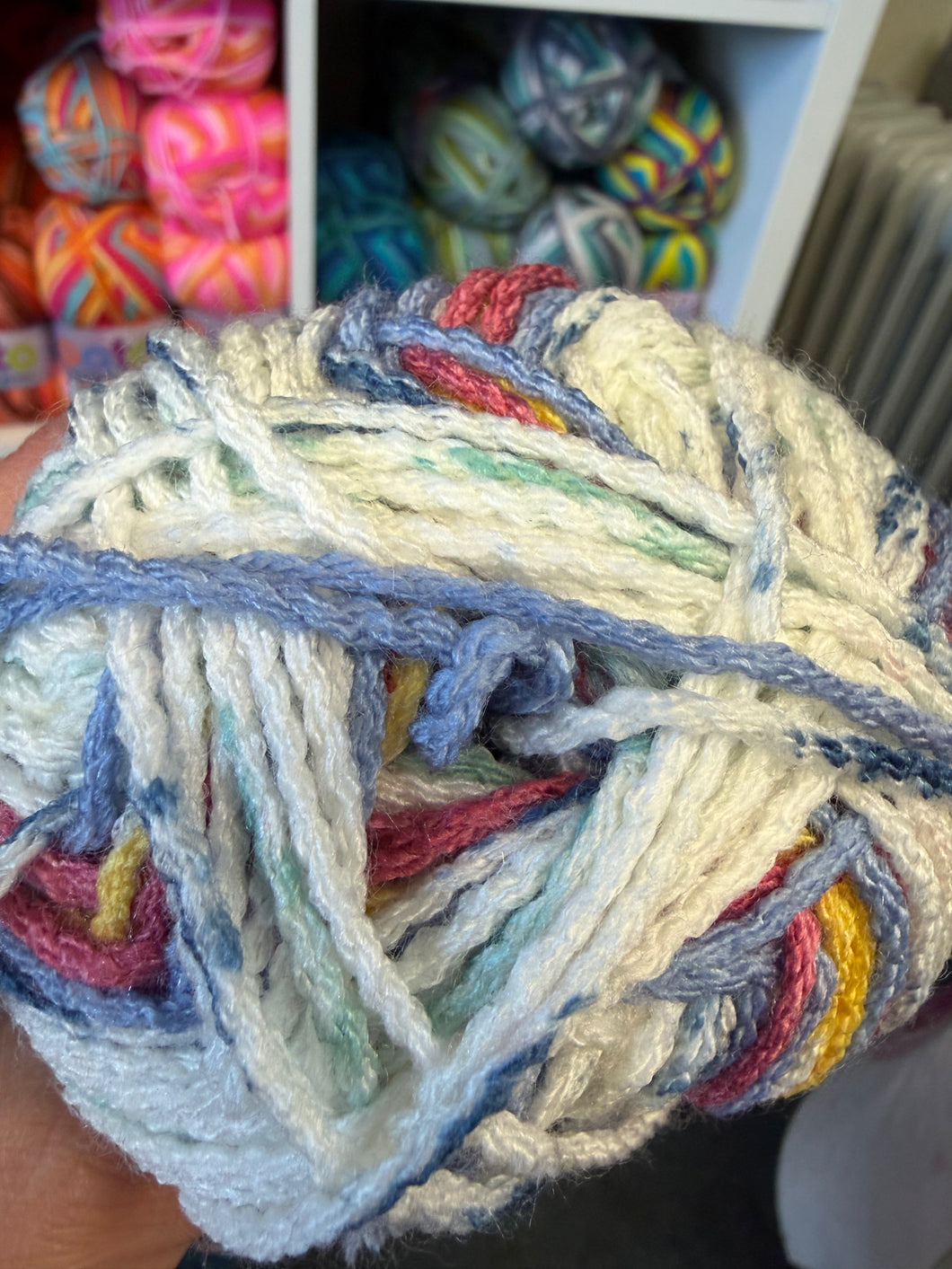 Cygnet Breen DK - Midnight Sun