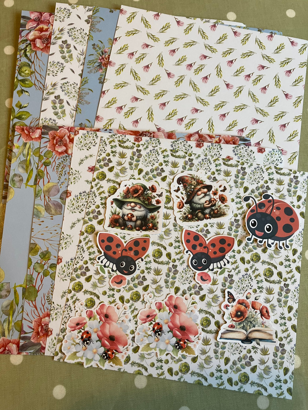 Ladybird mini kit