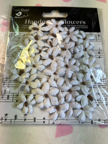 Mini white paper flowers with brown centre